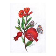 pomegranate-with-two-butterflies-1