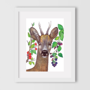 deer-and-berries-1