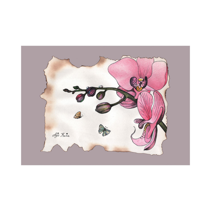 Pink-orchid-with-two-butterflies-2