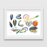Mussels,-Oysters,-Pearl,-Rosemary,-Scallops-1