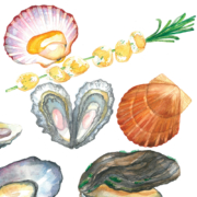 Mussels,-Oysters,-Pearl,-Rosemary,-Scallops-4