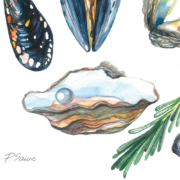 Mussels,-Oysters,-Pearl,-Rosemary,-Scallops-7