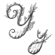 hand-drawn-calligraphy-alphabet-8