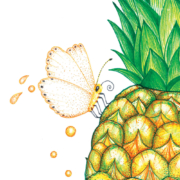 The-magic-of-pineapple-flavor-5
