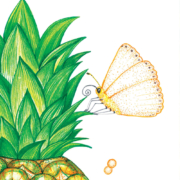 The-magic-of-pineapple-flavor-6